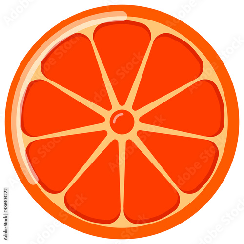 Orang fruit. Oranges that are segmented on a white background.