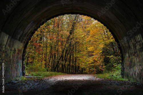 Принти на полотні Road to Nowhere Tunnel