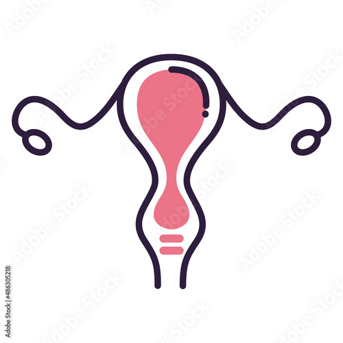 female reproductive organ