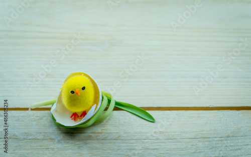 Kurczak w skorupce jajka na drewnianych deskach, wielkanocne tło.