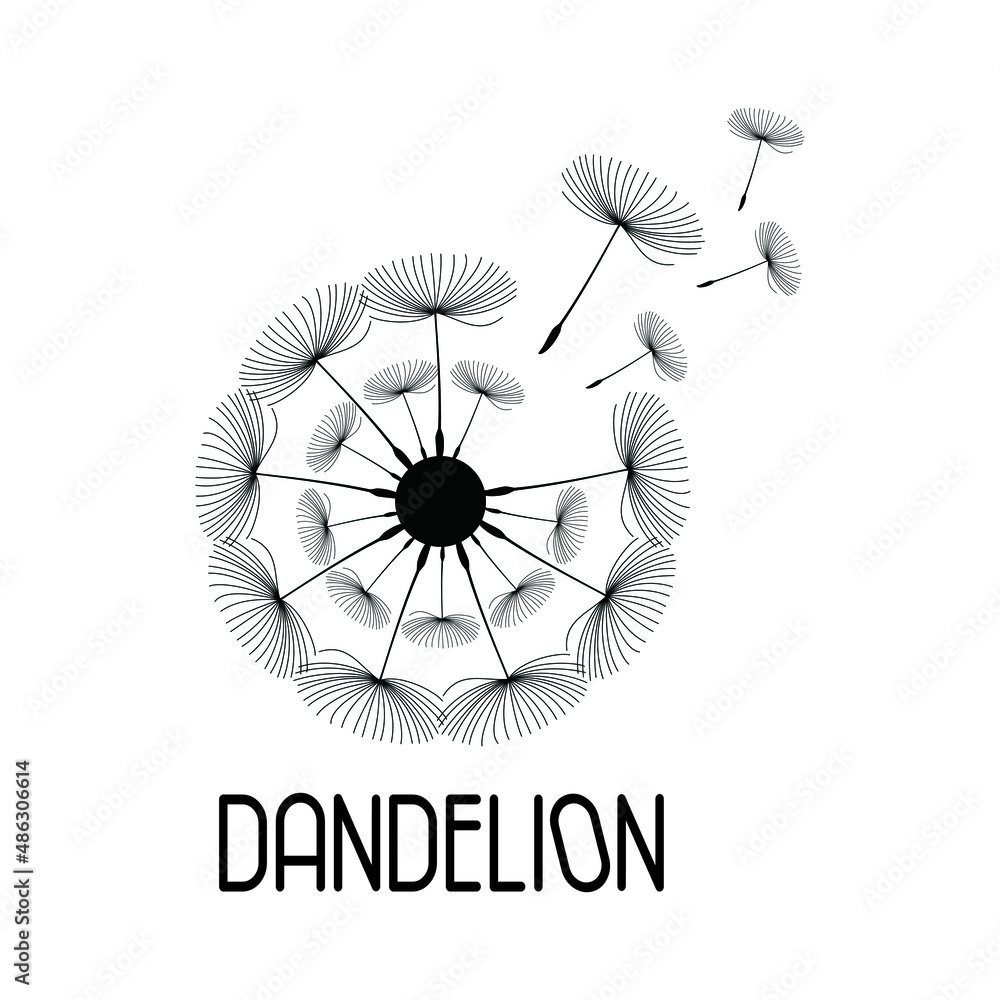 Obraz premium Dandelion Flower Logo Icon Design Template. Elegant, Flower, Florist, Modern, Vector Illustration