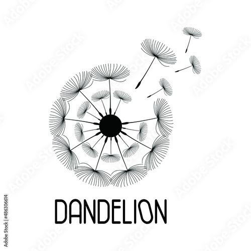 Fototapeta Naklejka Na Ścianę i Meble -  Dandelion Flower Logo Icon Design Template. Elegant, Flower, Florist, Modern, Vector Illustration