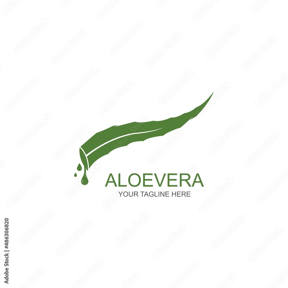 Aloe vera logo vector ilustration template Aloe vera logo vector ilustration template