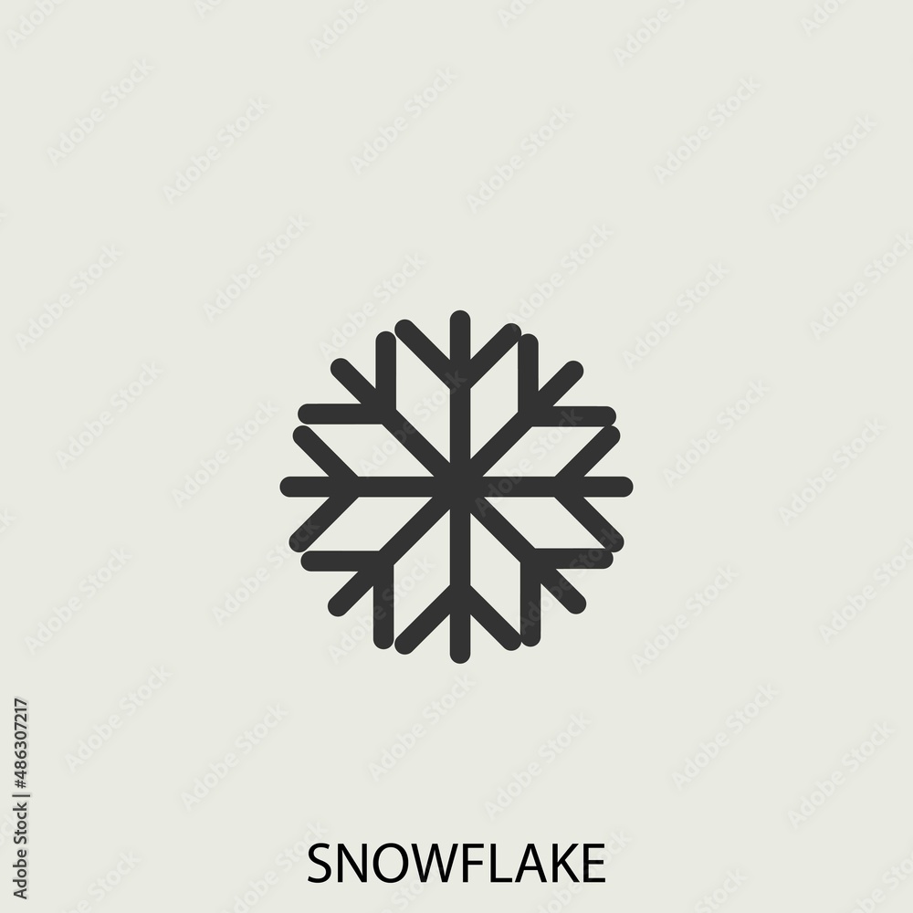 Snowflake vector icon illustration sign Snowflake vector icon illustration sign