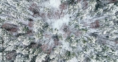 Flying a quadcopter over a snow-covered forest