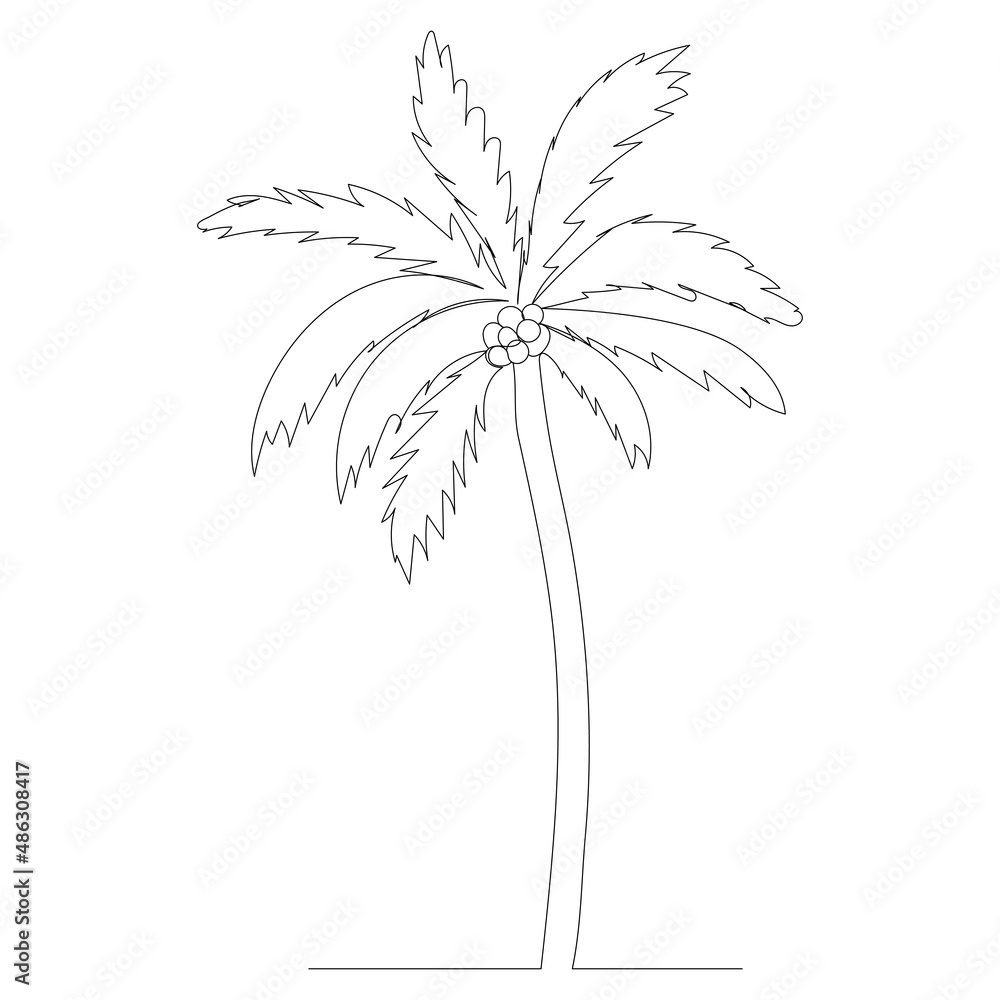 palm tree contour one line sketch vector