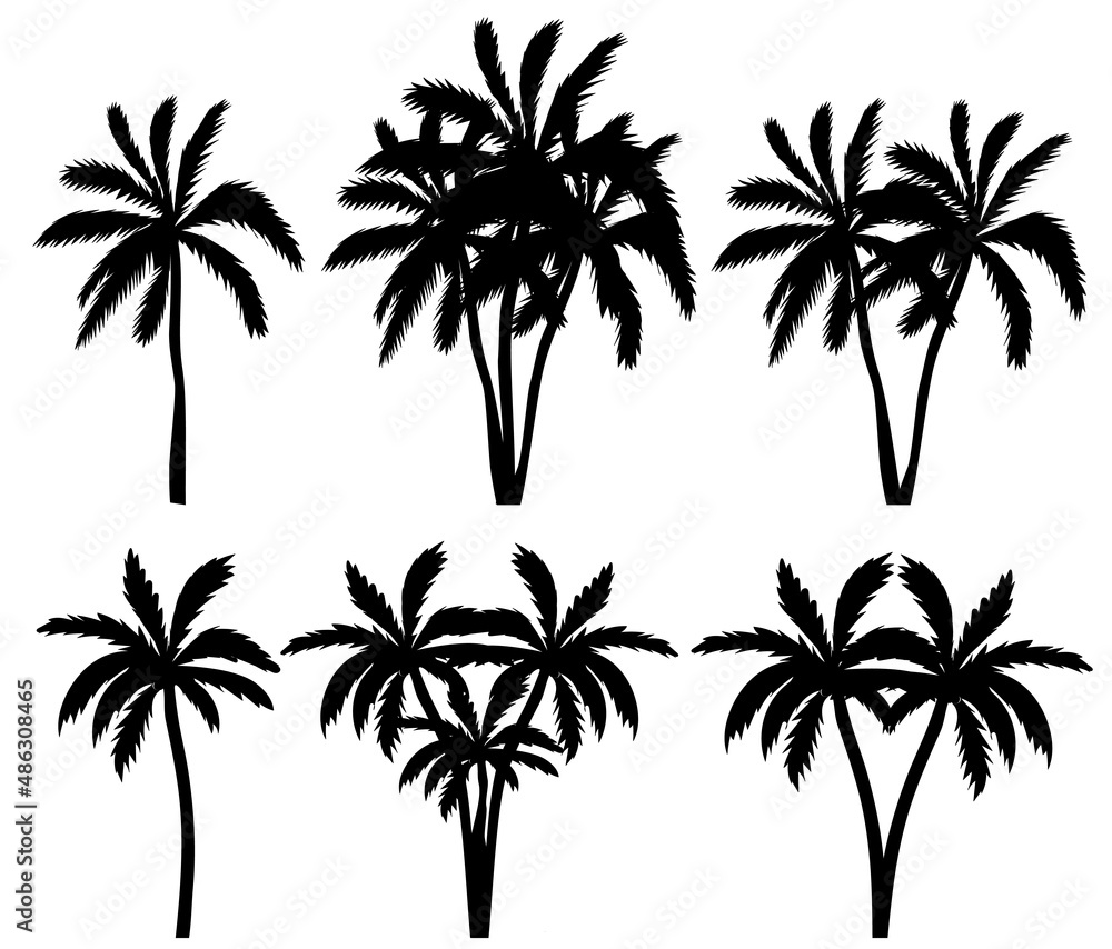 palm trees set silhouette ,on white background, vector palm trees set silhouette ,on white background, vector