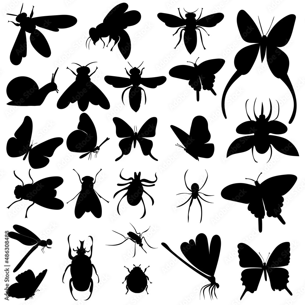 Fototapeta premium insects set silhouette ,on white background, vector