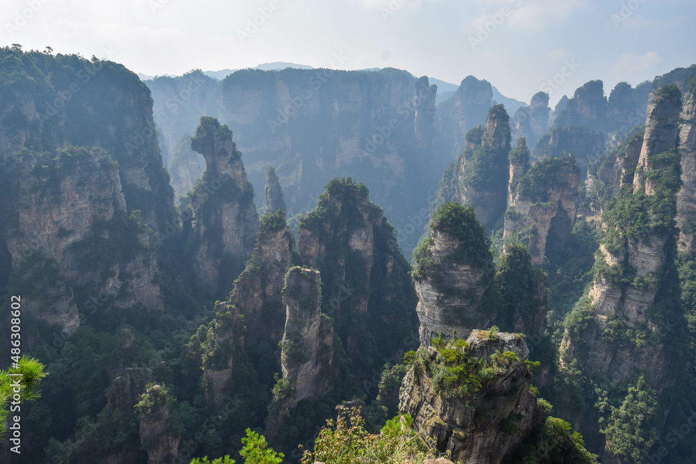 Fototapeta premium Mountains of Zhangjiajie park in China