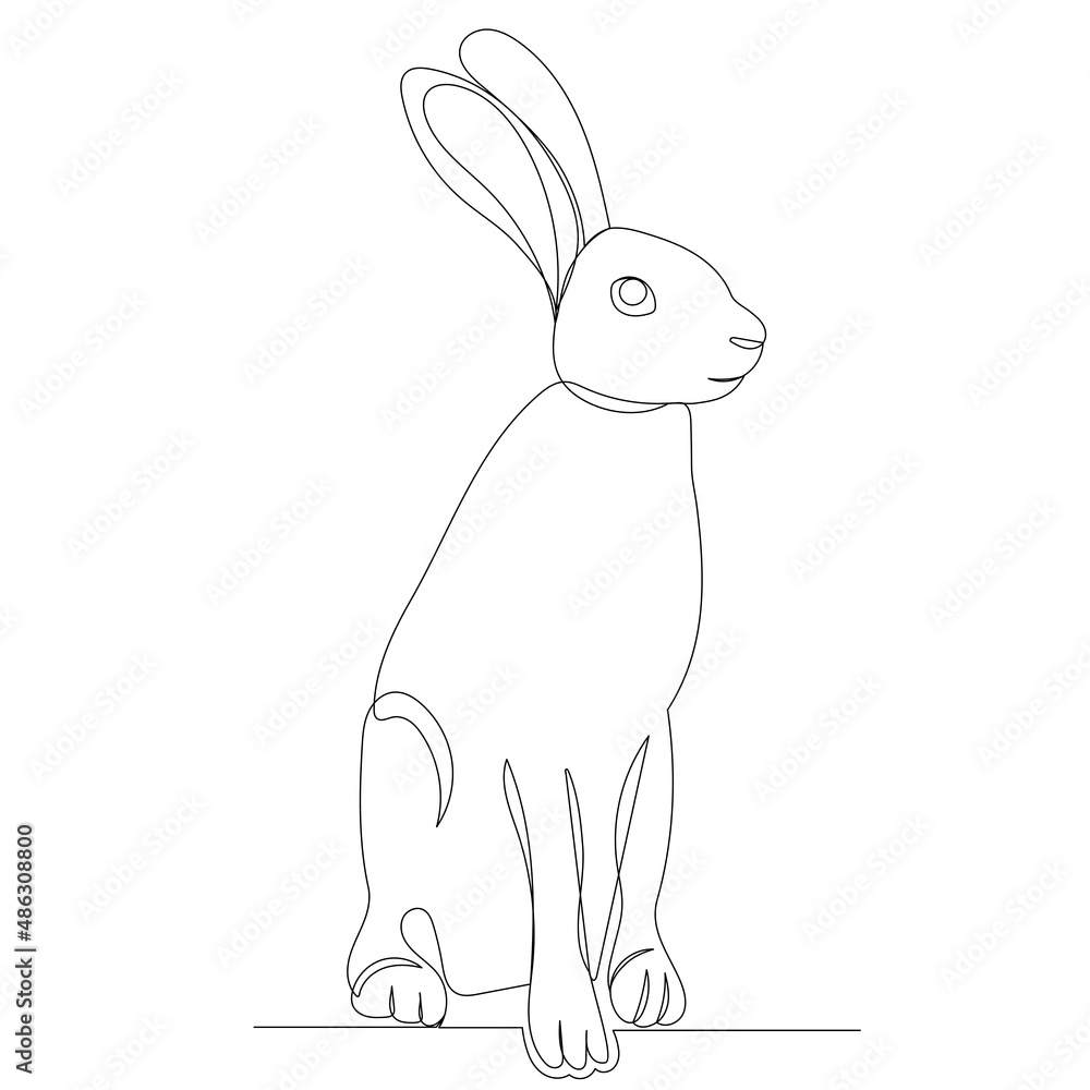 Obraz premium hare one line outline, vector sketch
