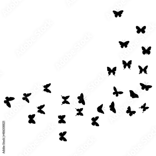 butterflies fly silhouette ,on white background, vector