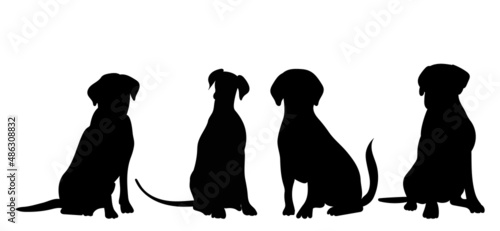 dogs sitting silhouette ,on white background, vector