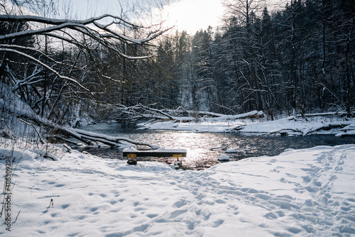 Fototapeta Naklejka Na Ścianę i Meble -  winter in the forest