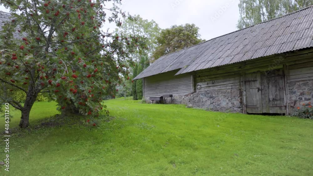 Rural house with a flowering garden in autumn and a green lawn. Bushes of red rowan at the well. A wooden shed on a stone foundation and a flower bed of bright colors. Latvian national park Rural house with a flowering garden in autumn and a green lawn. Bushes of red rowan at the well. A wooden shed on a stone foundation and a flower bed of bright colors. Latvian national park