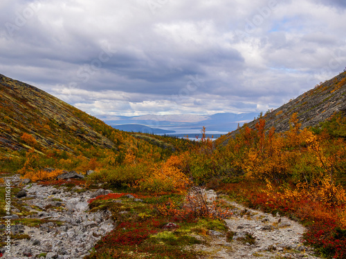 North Russia Khibiny mountains in autumn mountain lake and forest. Murmansk region