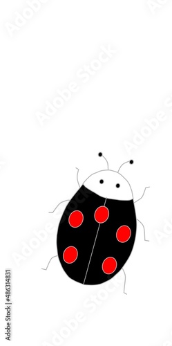 flying beetle ladybug on a white background