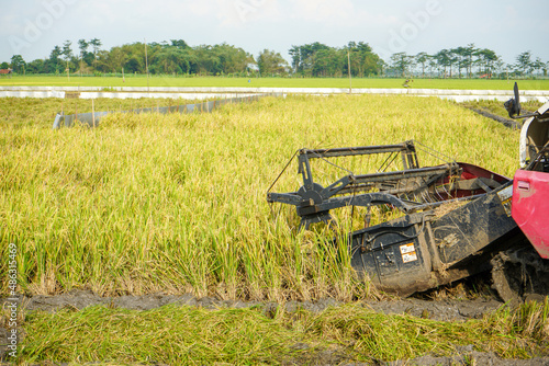 Pati, Indonesia - January, 2022 : Automatic rice harvester machine is being used to harvest the fields and it is ripe and yellow in harvest season. Combine Harvester Speed up and simplify the work. 