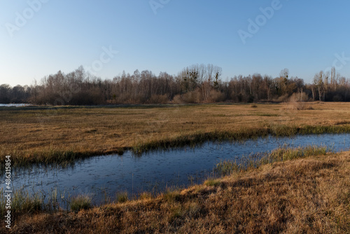 Wet meadow in the Episy Sensitive Natural Space. French Gatinais regional nature park