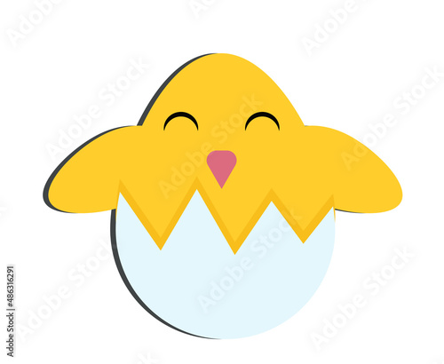 Little yellow chicken in an egg