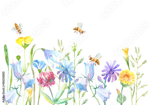 Floral border of a bee, wild flowers and herbs on a white background.Buttercup, clover,bluebell,vetch,timothy grass,lobelia,spike. Watercolor hand drawn illustration.	