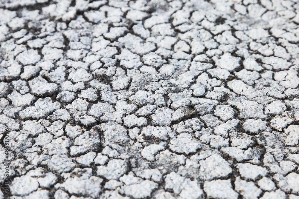 White dry earth with a web of cracks. Dry salty seabed. Salty land. White dry earth with a web of cracks. Dry salty seabed. Salty land.