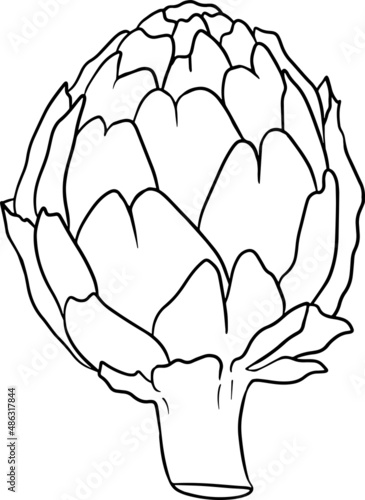 Artichoke bud. Healthy, fresh, farm vegetables. Hand drawn isolated on white background. Coloring pages with artichoke