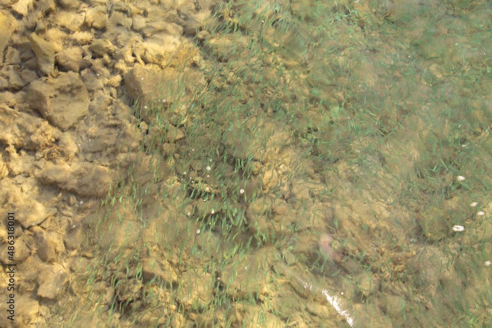 natural background abstraction of sea water natural background abstraction of sea water