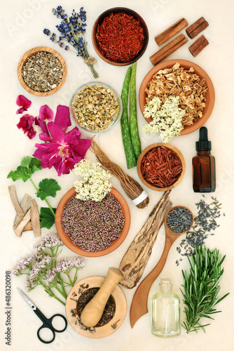 Natural herbal plant remedies for good health with herbs and edible flowers. Alternative health care health and wellness concept. Ingredients also for food seasoning and decoration. Cream background.