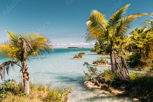 T  rkisfarbene Lagune mit glasklarem Wasser und Palmen auf der Halbinsel Yucatan in Mexiko