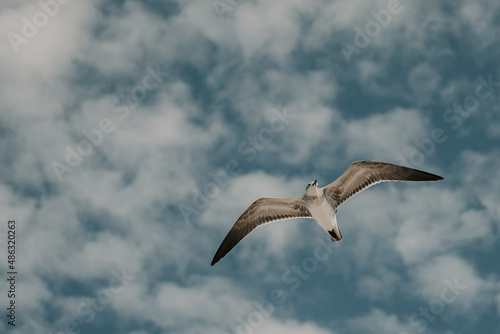 M  we im Flug von unten vor blauem Himmel mit Wolken