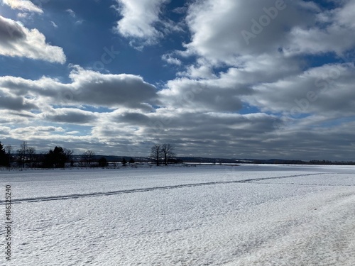 Winter landscape. Snow field. Edge of the forest.