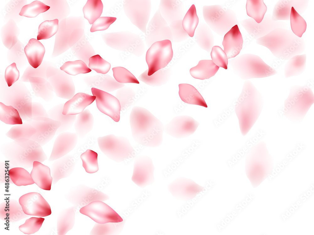 Pink sakura flower flying petals isolated on white vector background. Pink sakura flower flying petals isolated on white vector background.
