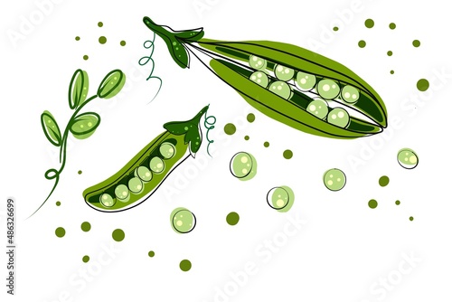 Set of green peas with leaves isolated