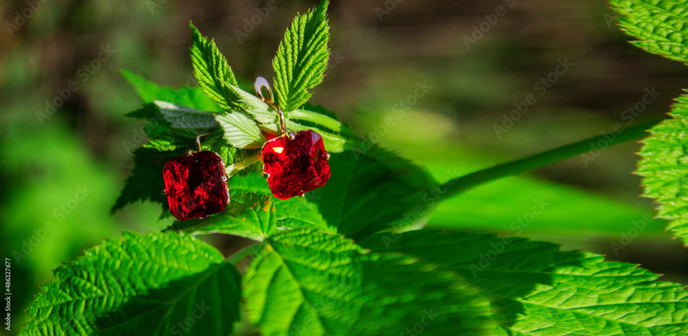 Closeup of pair of beautiful earrings on green leaves background Closeup of pair of beautiful earrings on green leaves background