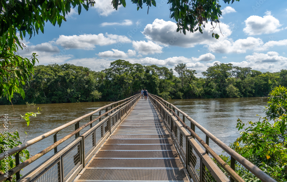 Argentina, wooden bridge crossing the Iguazu River on  a walk path .