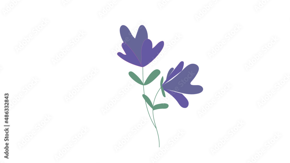 Obraz premium Purple flowers, Lila, flower, minimalist flower, plant, nature 
