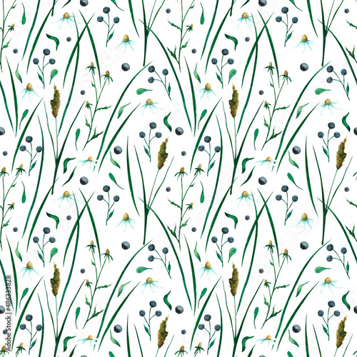 Watercolor floral seamless pattern. Wild herbs and berries.