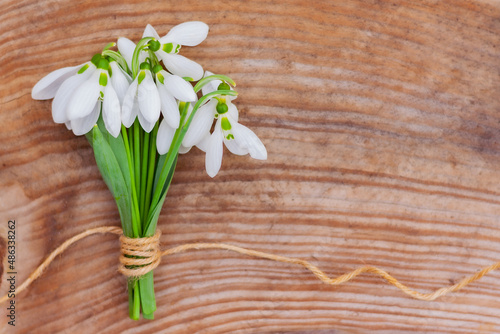 snowdrops are folded into a bouquet and beautifully tied with a rope on a wooden background. first spring flowers