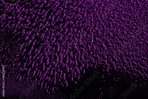 Magnetfeld-Visualisierung als abstrakte Hintergrund-Struktur, magnetische Eisenspähnen auf violettem Hintergrund photo