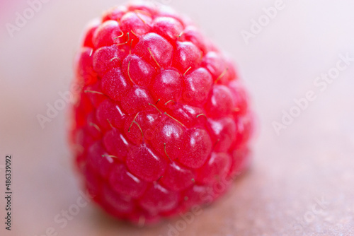 Raspberry Close Up (ID: 486339092)