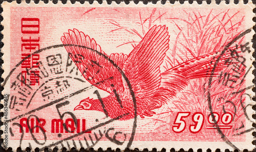 Japan - circa 1950: a postage stamp from Japan, showing a Green Pheasant (Phasianus colchicus versicolor)