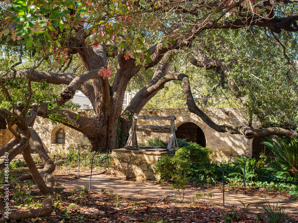 Sunny view of The Alamo