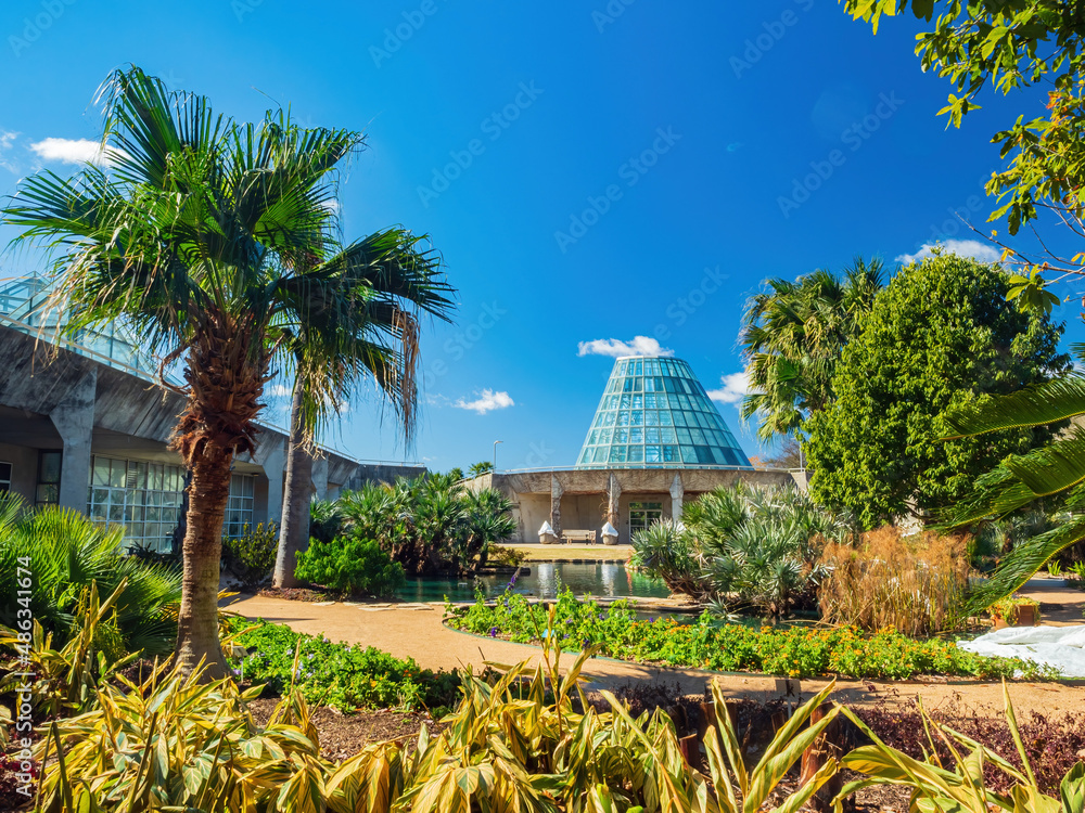 Sunny view of a green house in San Antonio Botanical Garden - obrazy, fototapety, plakaty 