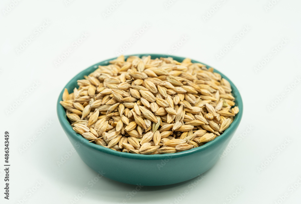 Highland barley seeds on a monochrome background Highland barley seeds on a monochrome background