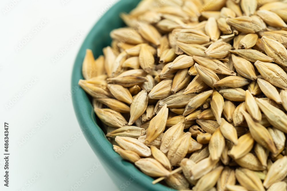 Highland barley seeds on a monochrome background Highland barley seeds on a monochrome background