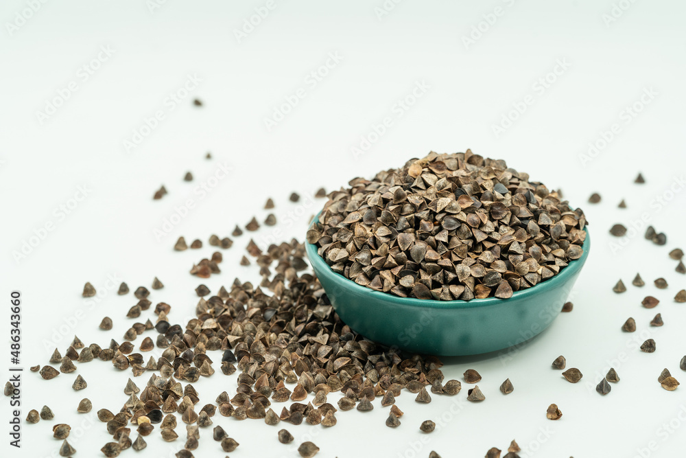 Sweet buckwheat seeds on a monochrome background Sweet buckwheat seeds on a monochrome background