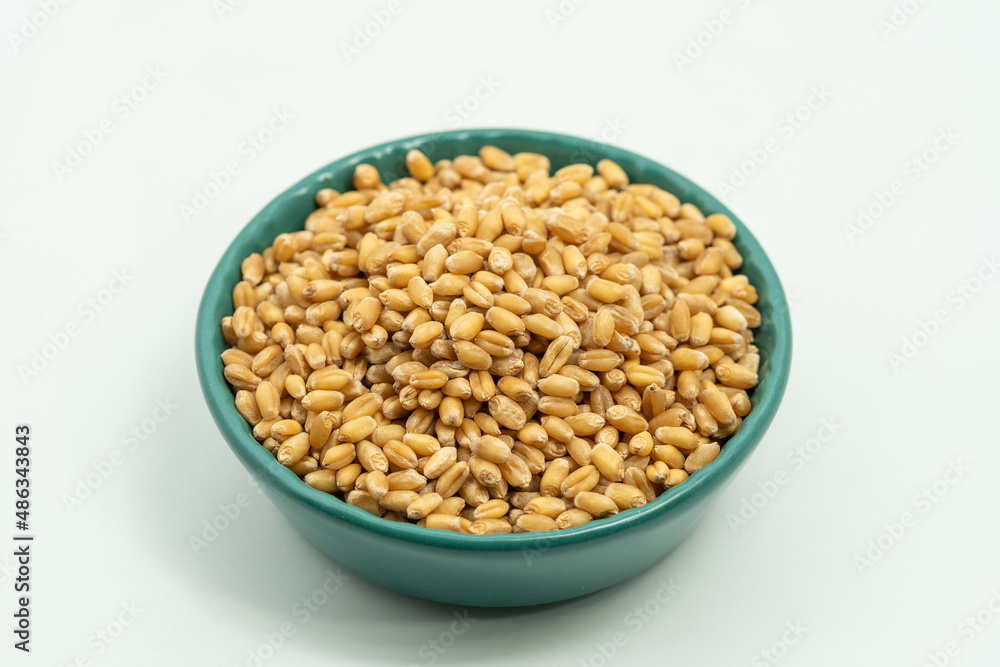 Wheat seeds on a monochrome background Wheat seeds on a monochrome background