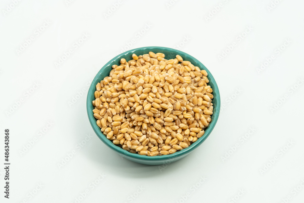 Wheat seeds on a monochrome background Wheat seeds on a monochrome background