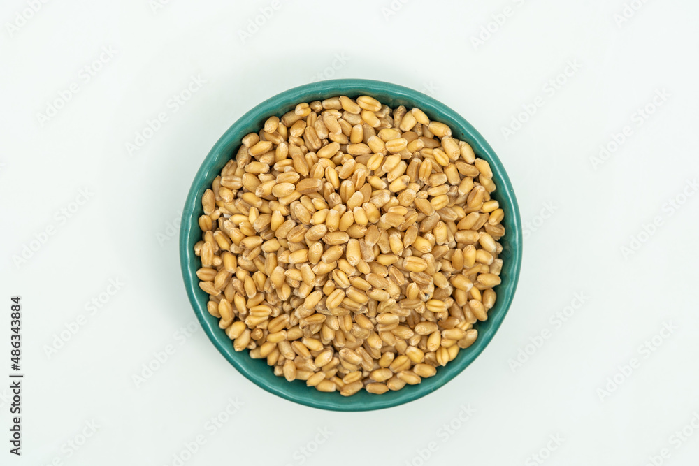 Wheat seeds on a monochrome background Wheat seeds on a monochrome background