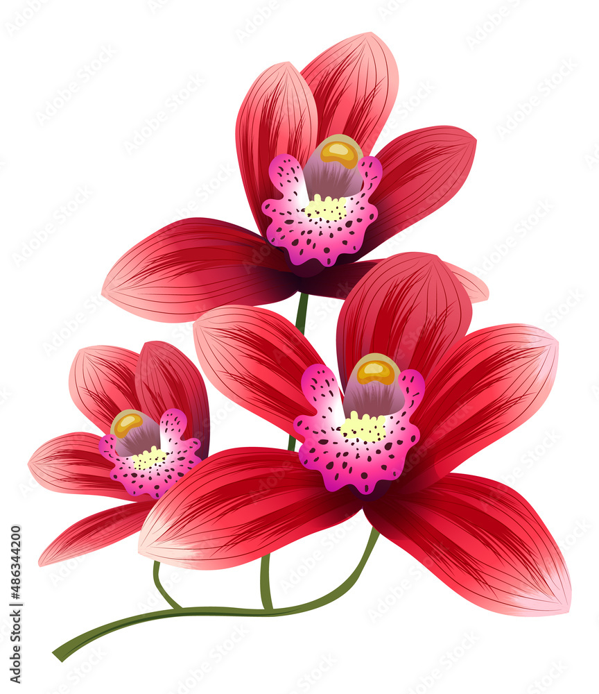 Fototapeta premium Red flowers branch. Exotic bright blossom plant